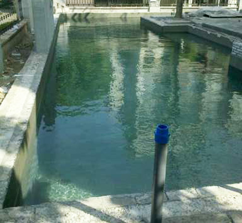 500平方别墅花园游泳池设计图片1