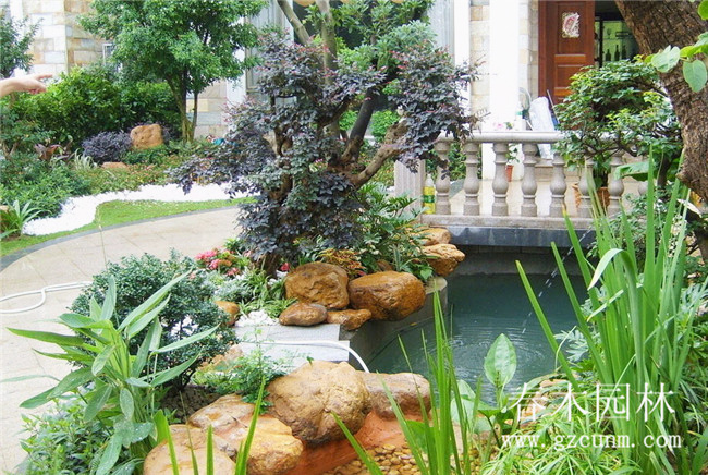 别墅庭院鱼池设计实景图