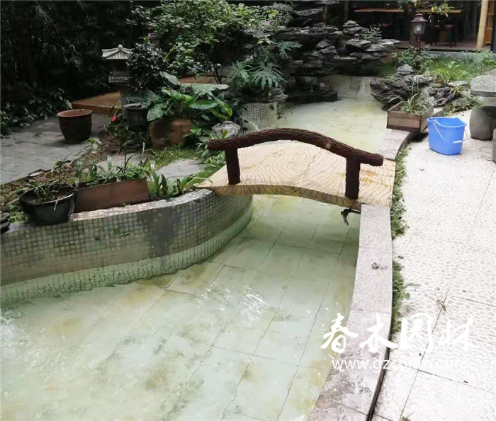 广州海珠区鱼池过滤系统改造后水清的图片