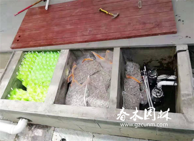 广州黄埔区鱼池过滤系统改造图片3