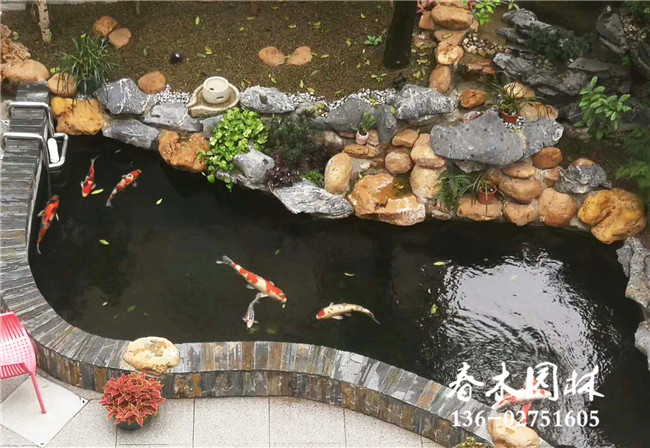 佛山南海区庭院锦鲤鱼池过滤系统制作图片7