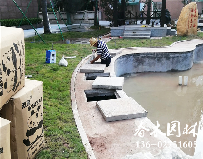 广州学校景观鱼池设计完成图片5