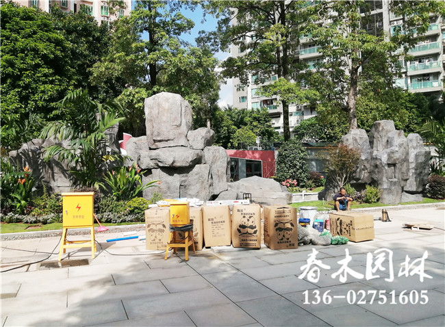 广州学校景观鱼池设计完成图片6