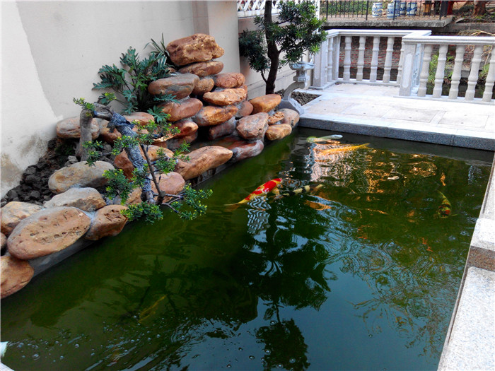 广州番禺区碧桂园小区庭院鱼池设计实景图