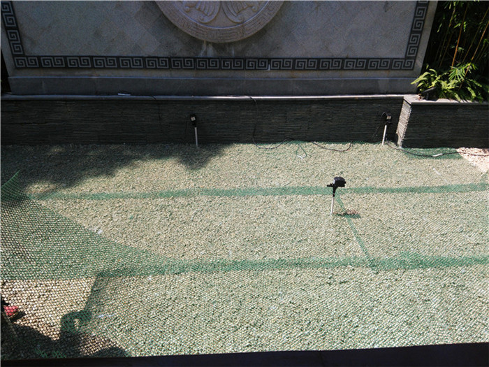 广州海珠区庭院鱼池生物过滤系统改造图片4