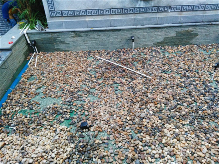 广州海珠区庭院鱼池生物过滤系统改造图片6