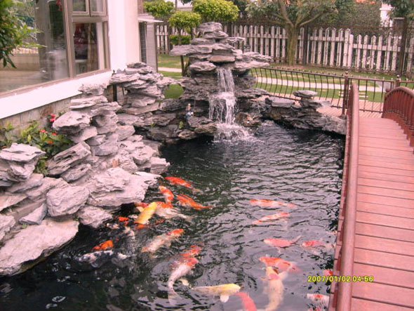提供锦鲤鱼池设计-别墅花园鱼池